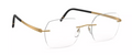 Silhouette Momentum 5529 HB 7520 Golden Dome
