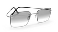 Silhouette Titan Minimal Art 5599 PE 7305 Silver-Grey Spaceship
