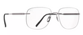 Silhouette The Timeless Visionary 5603 NL 6560 Plain Ruthenium